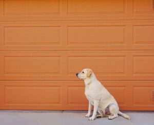 Garage Door Repair