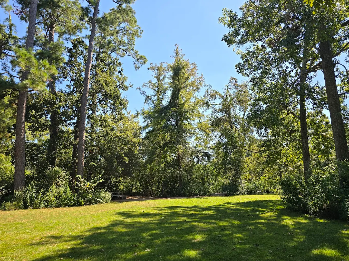 garage door spring repair Houston